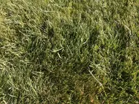 Foto 1.webp