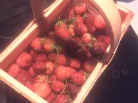 huzt 008.webp
