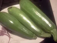huzt 006.webp