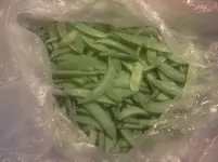 huzt 026.webp