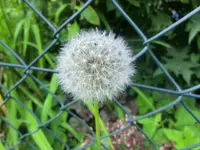 CIMG7956.webp