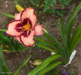 IMG_1561.webp