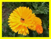 046.webp