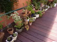 RIMG0143.webp