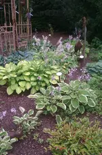 2013-07-20 11.19.32.webp