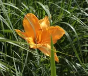 TL Teich 140623.webp