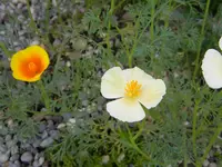 DSCN8745.webp