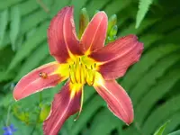 DSCN8733.webp