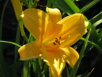 IMG_sleepy2_1024x768.webp