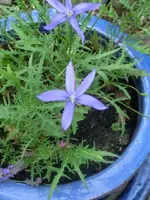 CIMG8023.webp