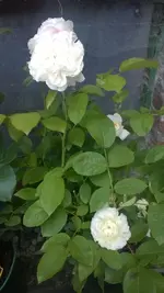WP_20140622_003.webp