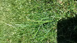 2014-06-23 13.11.30.webp