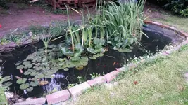 2014-06-21 19.16.47.webp