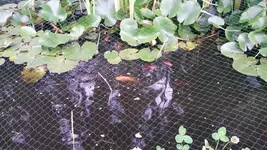 2014-06-21 19.18.06.webp