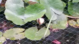 2014-06-21 19.18.16.webp