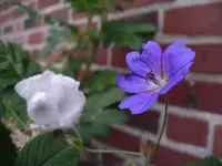 IMGP6713.webp