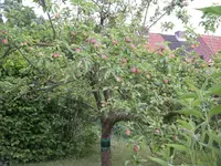 IMGP6711.webp