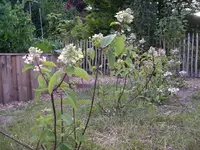 IMGP6709.webp