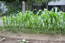 IMG_1814.webp