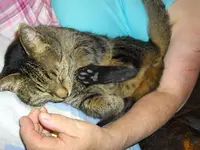 IMGP1240.webp