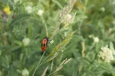 2014_0623sommer0012.webp
