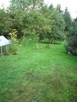 DSC00041.webp