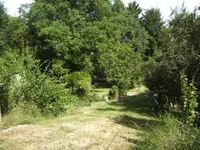 BILD2986.webp