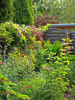 Einfahrt_Beet links_500.webp