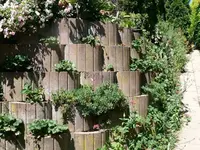 k-P1070993.JPG