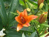 002_1024x768.webp