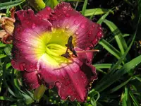 IMG_court magican2_1024x768.webp