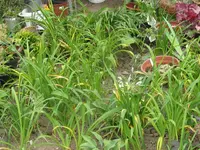 022_1024x768.webp