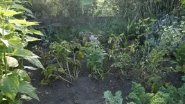 SAM_3216.webp