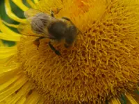 017_1024x768.webp