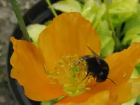 020_1024x768.webp