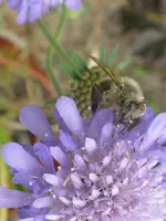 008_576x768.webp