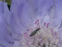 019_1024x768.webp