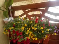 IMG_20140624_140446.webp