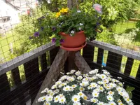 IMG_20140602_162338.webp
