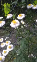 imag0800rpjkh.webp