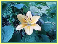 003.webp