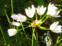 CIMG2715.webp