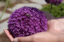 010.webp