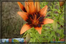 comp_DSC01755.webp