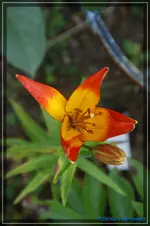 comp_DSC01756.webp