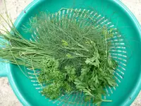 k-P1070997.webp