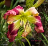 IMG_1649.webp