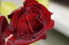 _DSC6098.webp
