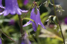 _DSC6103.webp
