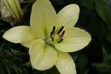 _DSC6054.webp
